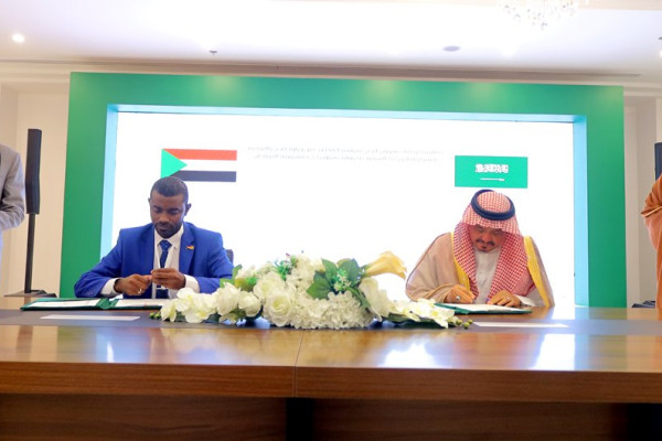Saudi Hajj Ministry widens plans for Egypt, Sudan pilgrims