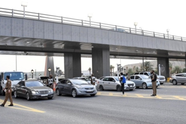 244 illegal pilgrims caught