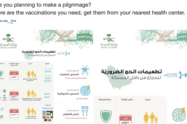 Saudi Arabia’s Hajj Health Adviser program to serve pilgrims