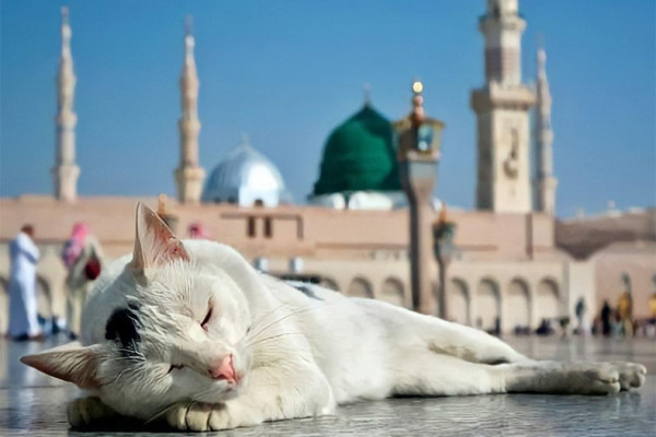 Foreign pilgrims allowed Umrah during Ramadan 2022